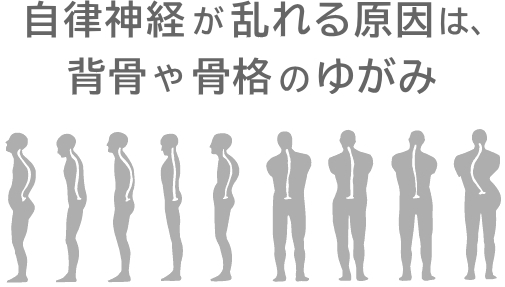 背骨の歪みと自律神経